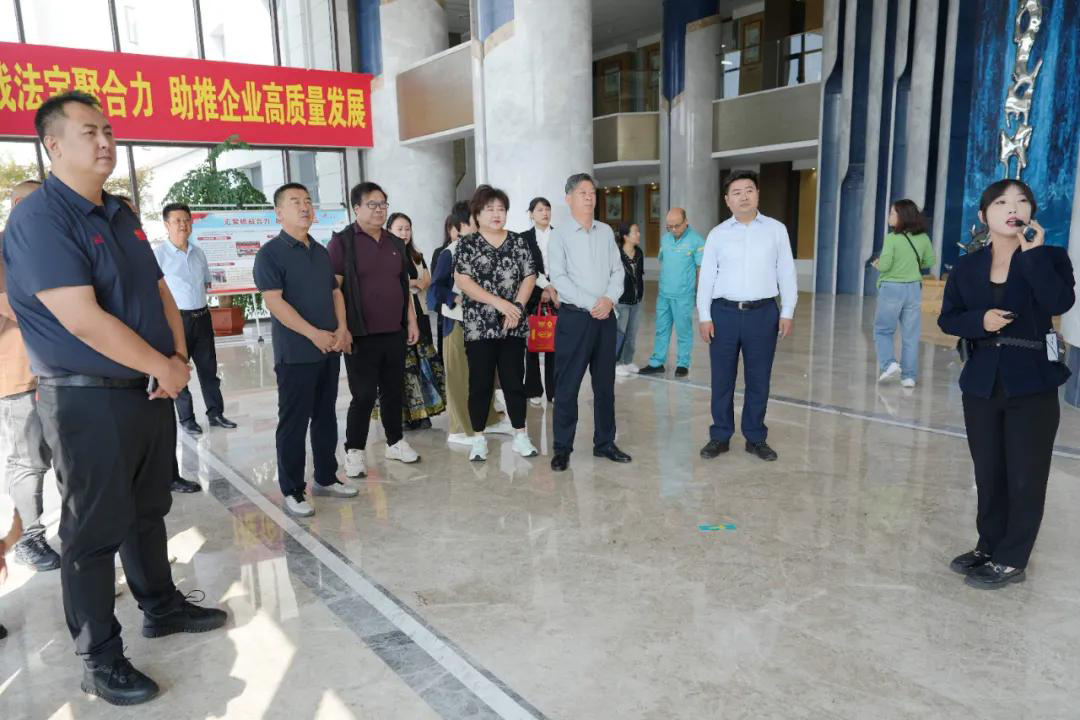 图片7